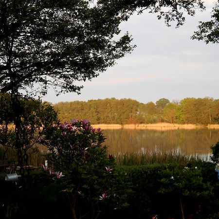 Bungalow Idylle Am See Neuruppin Ngoại thất bức ảnh