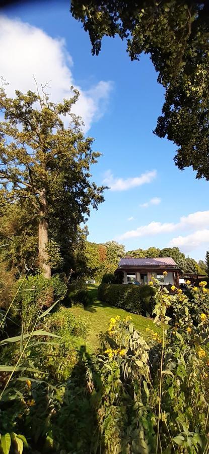 Bungalow Idylle Am See Neuruppin Ngoại thất bức ảnh