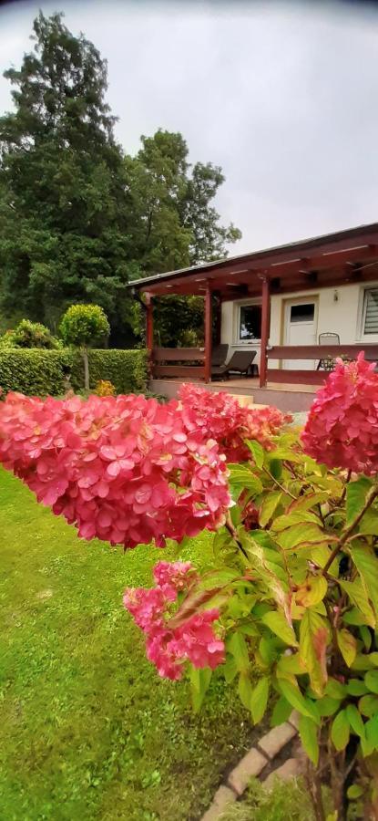 Bungalow Idylle Am See Neuruppin Ngoại thất bức ảnh
