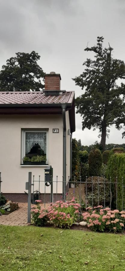 Bungalow Idylle Am See Neuruppin Ngoại thất bức ảnh