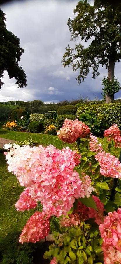 Bungalow Idylle Am See Neuruppin Ngoại thất bức ảnh