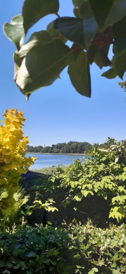 Bungalow Idylle Am See Neuruppin Ngoại thất bức ảnh
