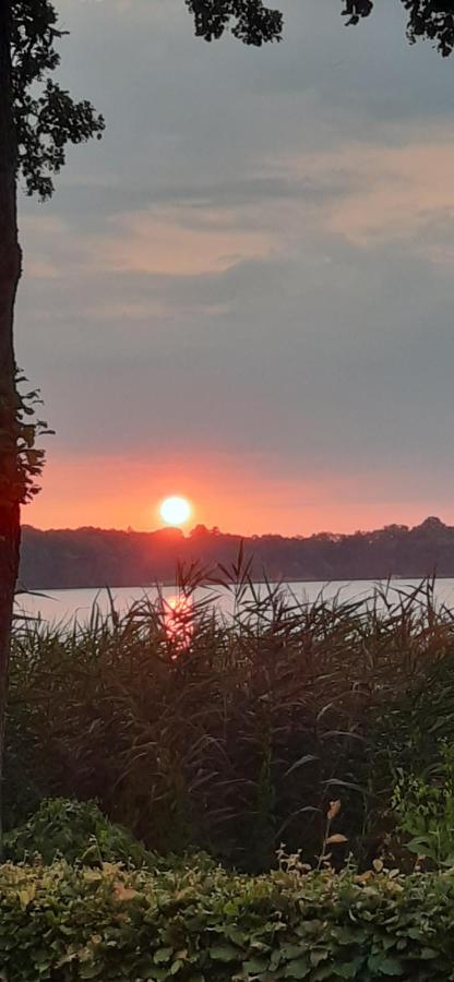 Bungalow Idylle Am See Neuruppin Ngoại thất bức ảnh