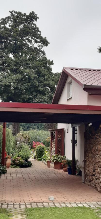 Bungalow Idylle Am See Neuruppin Ngoại thất bức ảnh