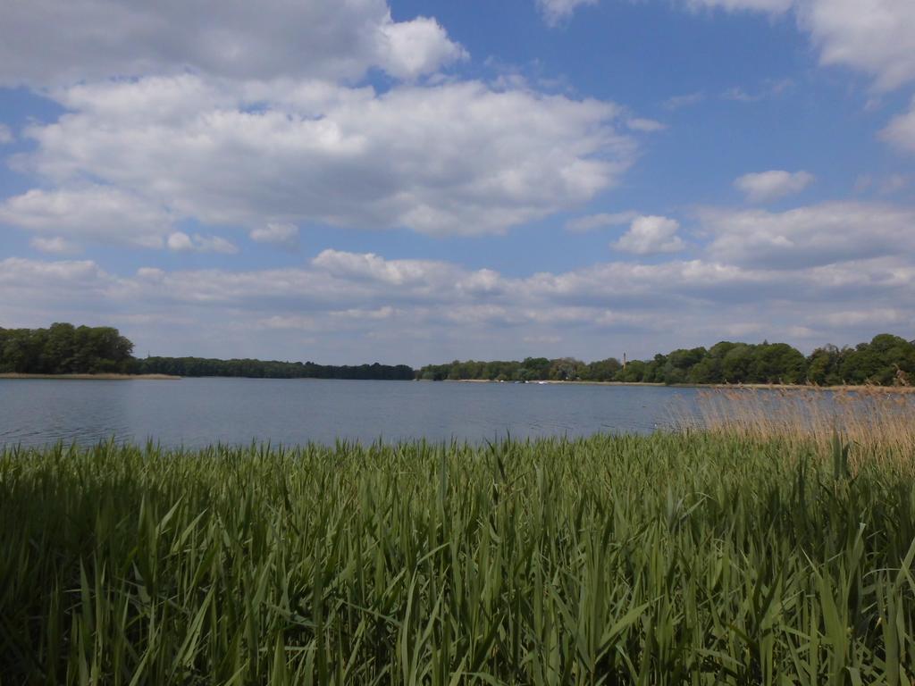 Bungalow Idylle Am See Neuruppin Ngoại thất bức ảnh